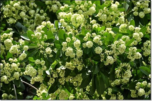 Hà Nội say đắm mùa tháng 10